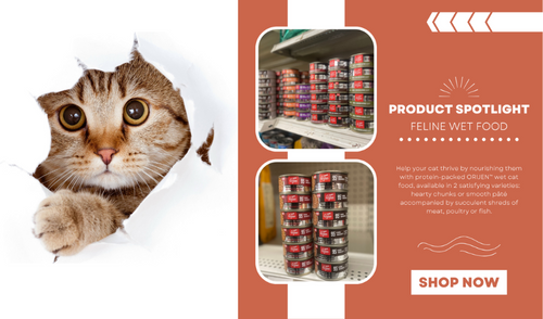 Product Spotlight: ORIJEN’s New Wet Cat Food Variety!