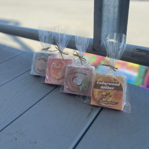 Four local candle wax blocks posed against a railing.