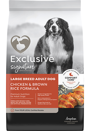 Exclusive Signature Large Breed Adult Dog Chicken & Brown Rice Formula Dog Food (30 Lb)