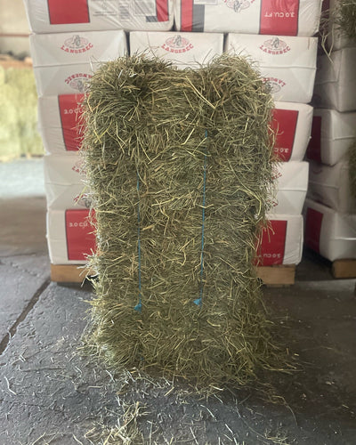 Barnstable Farm & Pet	2nd Cut Hay Bales (45 LB)