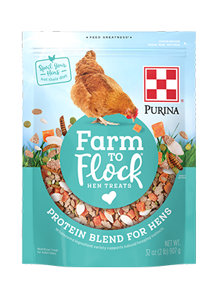 Purina® Farm to Flock® Protein Blend Hen Treats (2 Lb)