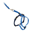 PetSafe Come With Me Kitty™ Cat Harness & Bungee Leash (Blue Small)