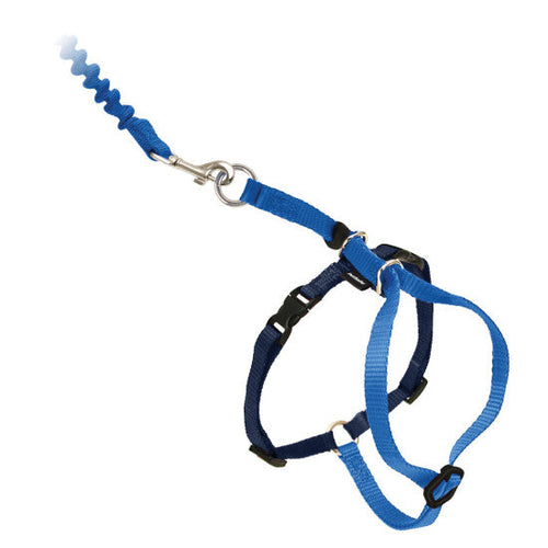PetSafe Come With Me Kitty™ Cat Harness & Bungee Leash (Blue Small)