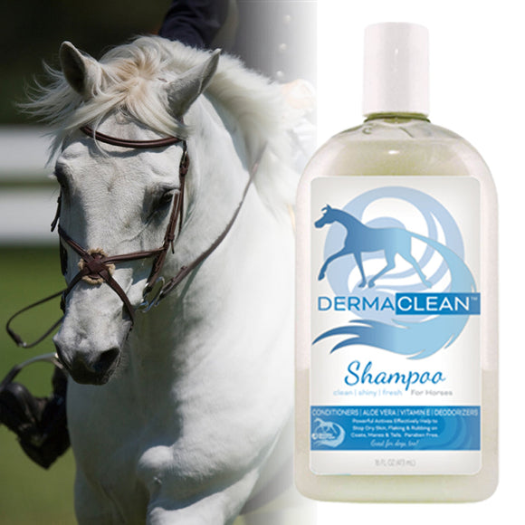 Healthy Hair Care Horse Shampoo Antibacterial Derma Clean for Coat, Mane & Tail