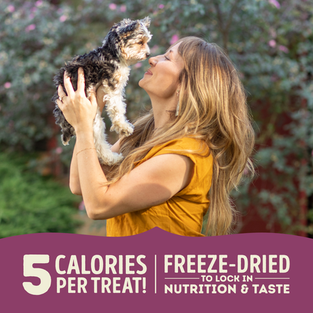 ACANA Lamb & Apple Freeze-Dried Dog Treats (3.25-oz)
