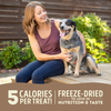 ACANA Duck & Pear Freeze-Dried Dog Treats (3.25-oz)