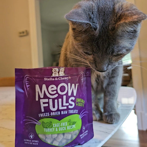 Stella & Chewy's Meowfulls Turkey & Duck Cat Treats