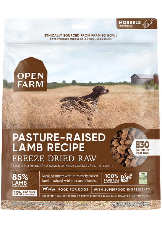 Open Farm Pasture-raised Lamb Freeze Dried Raw Dog Food (13.5 oz)