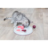 Trixie Cat Flip Board (23 cm)