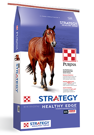 Purina® Strategy® Healthy Edge® Horse Feed (50 lbs)