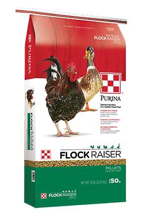 Purina® Flock Raiser® Pellets (50 Lb)