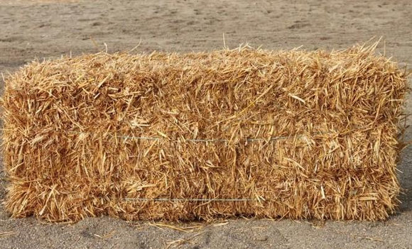 Straw (50 lb)