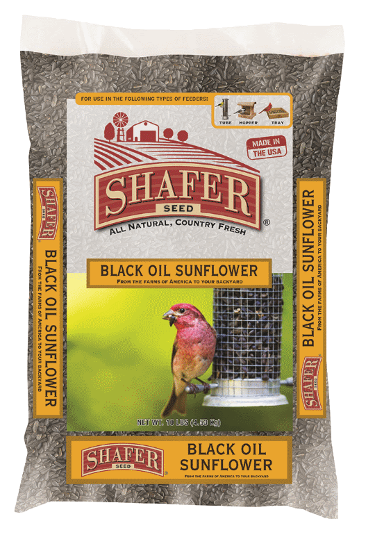 Shafer Black Oil Sunflower Seed (25 lb)