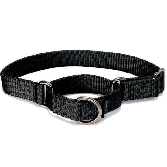 PetSafe Martingale Collars Black (Small)