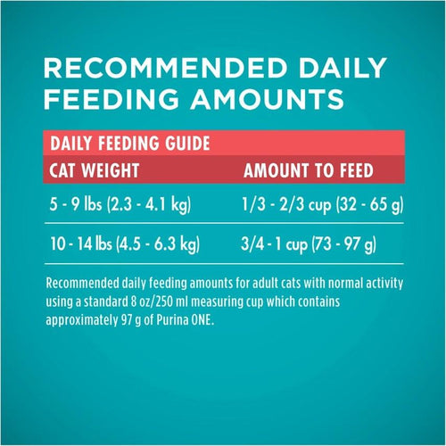 Purina ONE Tender Selects Blend Real Salmon Dry Cat Food