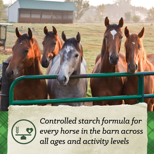 Nutrena® SafeChoice® All Life Stages