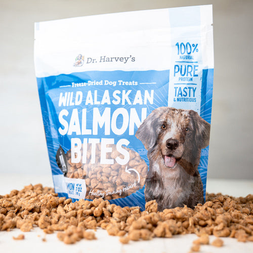 Dr. Harvey's Wild Alaskan Salmon Bites Freeze-Dried Raw Salmon Treat for Dogs