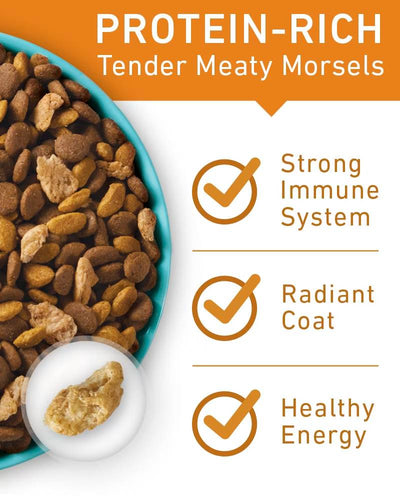 Purina ONE Tender Selects Blend With Real Chicken Dry Cat Food