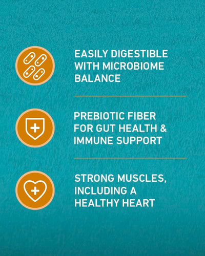 Purina ONE Tender Selects Blend With Real Chicken Dry Cat Food