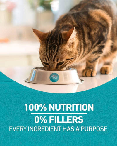 Purina ONE Tender Selects Blend With Real Chicken Dry Cat Food
