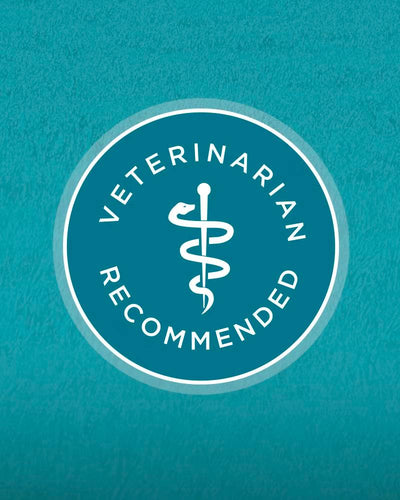 Purina ONE Tender Selects Blend With Real Chicken Dry Cat Food