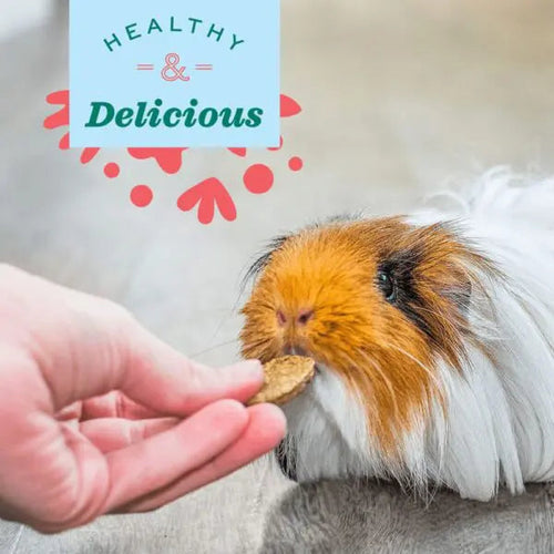 Oxbow Animal Health Natural Science Skin & Coat Support