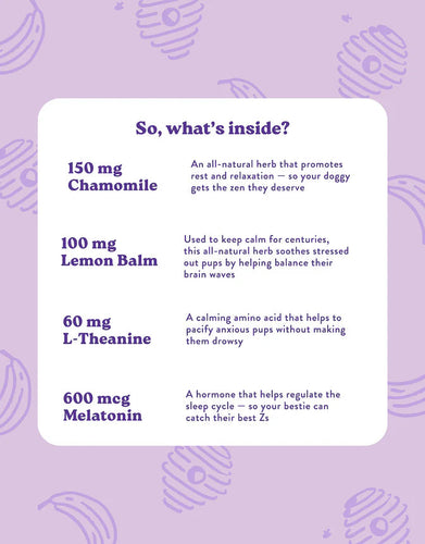 Bocce's Bakery Calming Supplements for Dogs