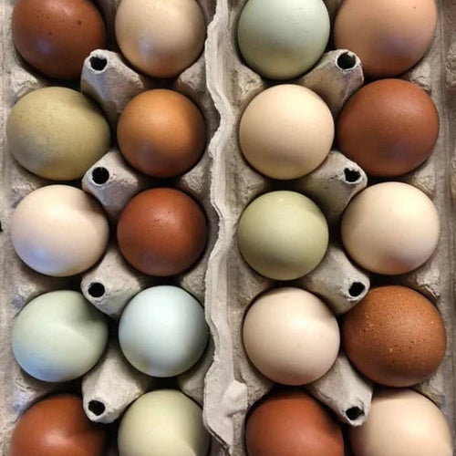 Farm Fresh Chicken Eggs 1 Dozen