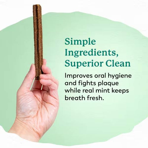 Dr. Harvey's Holistix A Healthier Dental Chew