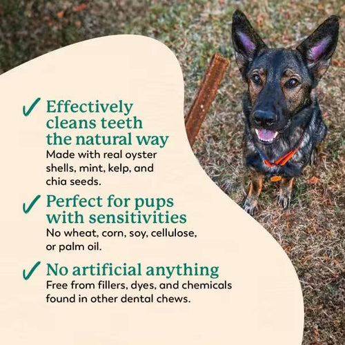 Dr. Harvey's Holistix A Healthier Dental Chew