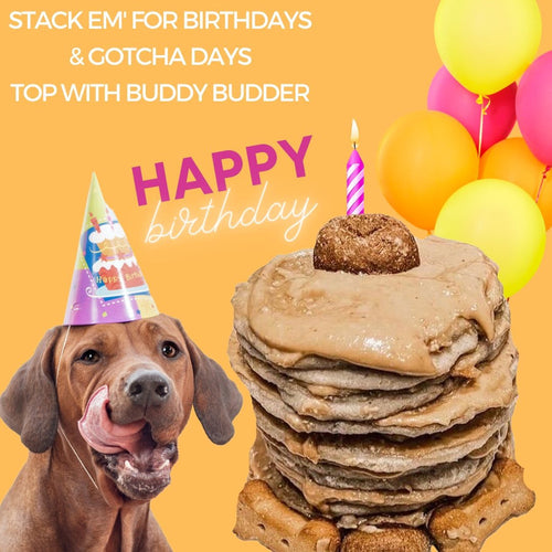 Bark Bistro Carrot Cake Pooch Pancakes