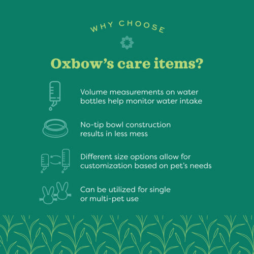 Oxbow Animal Health Enriched Life  Wood Brush & Comb