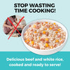 Koha Limited Ingredient Wet Bland Diet Beef & White Rice Recipe for Dogs