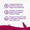 Wellness Complete Health Grain Free Small Breed Deboned Turkey, Chicken Meal and Salmon Meal Recipe Dry Dog Food