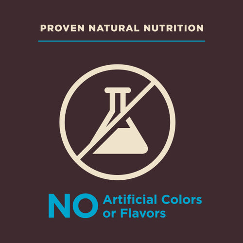 Wellness CORE Digestive Health Whitefish & Brown Rice Dry Dog Food