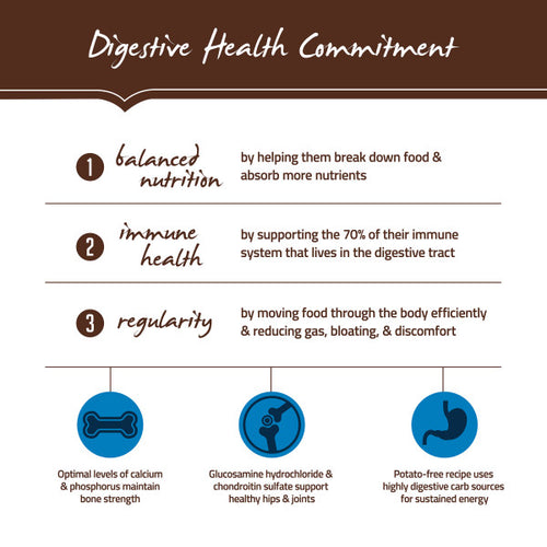 Holistic Select Natural Adult Health Large & Giant Breed Chicken Meal and Oatmeal Dry Dog Food