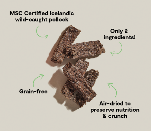 Icelandic Air-Dried Pollock & Blueberry Dog Treat Bars