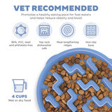 Outward Hound Fun Feeder Slo Bowl, Slow Feeder Dog Bowl