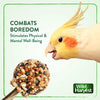 Wild Harvest Bake Shop Seed Pops for All Birds