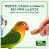 WILD HARVEST Tropical Granola Crunch Bars Bird Treats