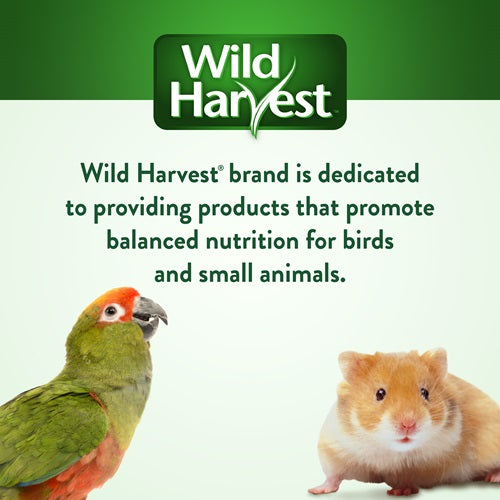 WILD HARVEST Kabobs for Birds