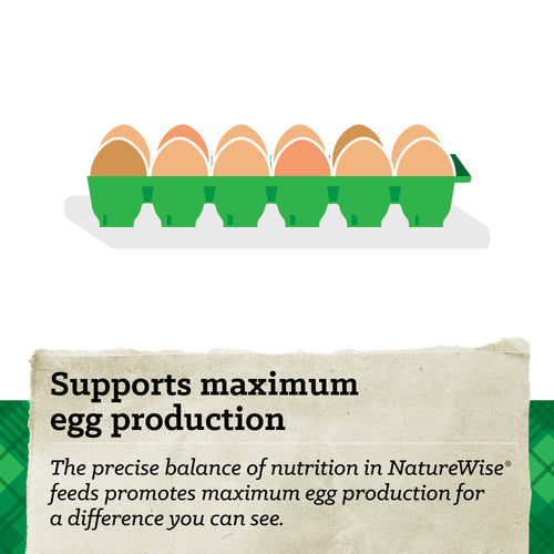 NatureWise® 20% Protein Feather Fixer Pellet Poultry Feed