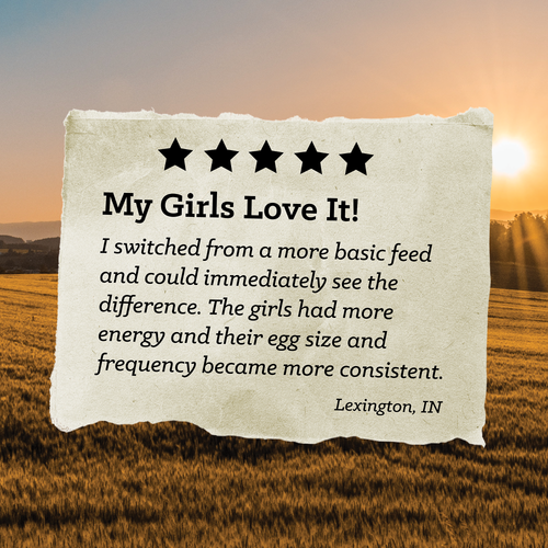 NatureWise® 17% Protein Layer Crumble Poultry Feed