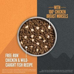 ORIJEN WILD RESERVE™, Free-run Chicken & Wild-Caught Fish Recipe Dry Cat Food
