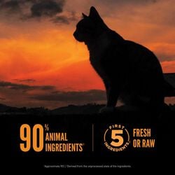 ORIJEN WILD RESERVE™, Free-run Chicken & Wild-Caught Fish Recipe Dry Cat Food