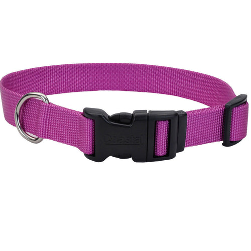 Coastal Adjustable Dog Collar with Metal Buckle (3/4 X 14-20, Black)