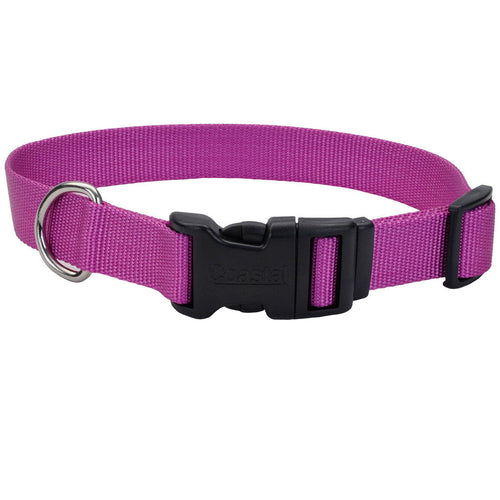 Coastal Adjustable Dog Collar with Metal Buckle (3/4 X 14-20, Black)