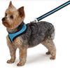 Casual Canine Mesh Dog Harness