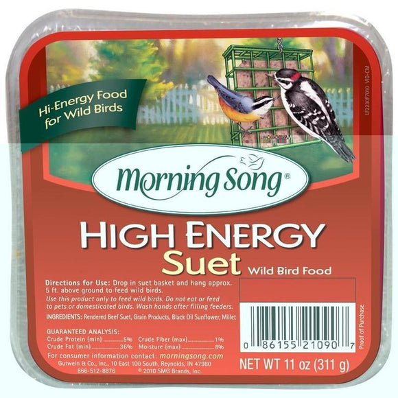 MORNING SONG HIGH ENERGY SUET